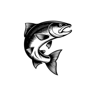 Bir somon balığının atlama hareketinin koyu siyah ve beyaz vektör çizimi. Bu yüksek kontrastlı grafik beyaz zemin üzerinde izole edilmiş ayrıntılı pullar ve yüzgeçler içerir..