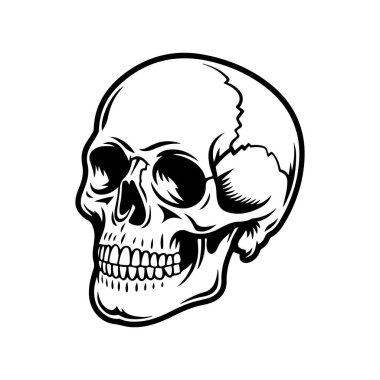 Çeyrek manzaralı bir insan kafatasının klasik siyah-beyaz vektör çizimi. Beyaz arkaplanda temiz, kalın çizgiler ve yüksek kontrastlı gölgeleme.