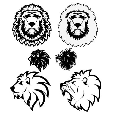 Vektör aslan kümesi