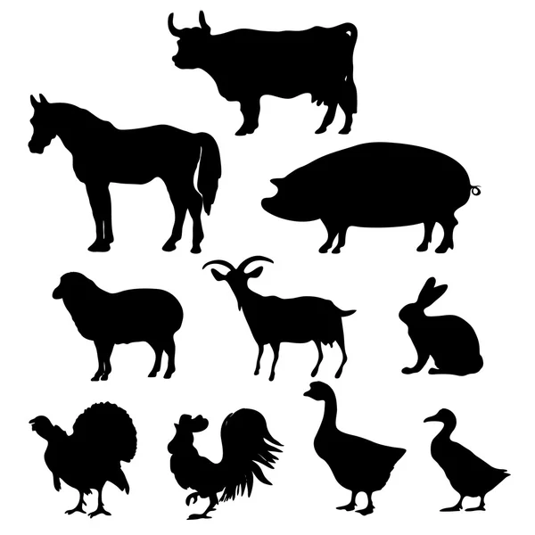 Set of farm anima — Stock Vector