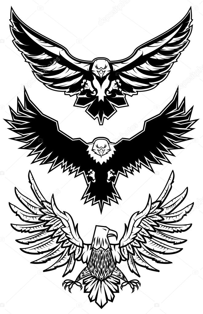 Set of vector eagles.  Logo,badge or label  design template. Vector illustration. Sport team logo template.