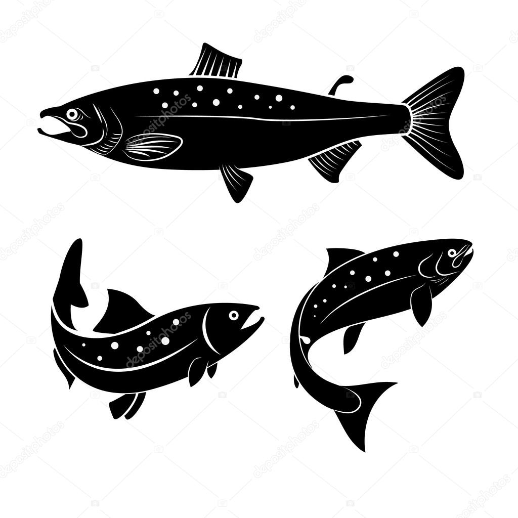 Set of salmon fish isolated on white background. Logo or label design element. Vector illustration.
