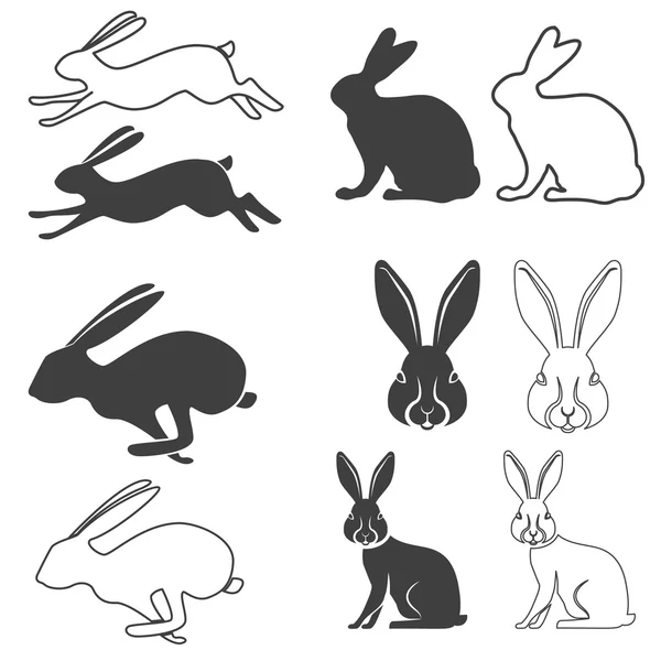 Hare set in vector — Stock Vector