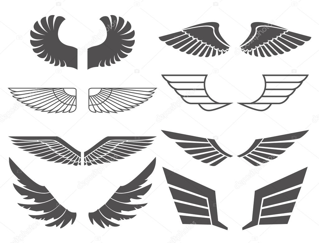 Wings. Vector logo template set. Elements for design. Icon set. vector  illustration © ussr (#1018002)