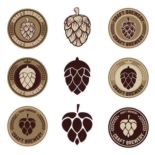 hop vektörde ayarla