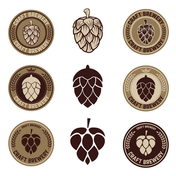 Набор векторов
