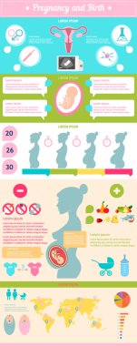 Gebelik ve doğum Infographic