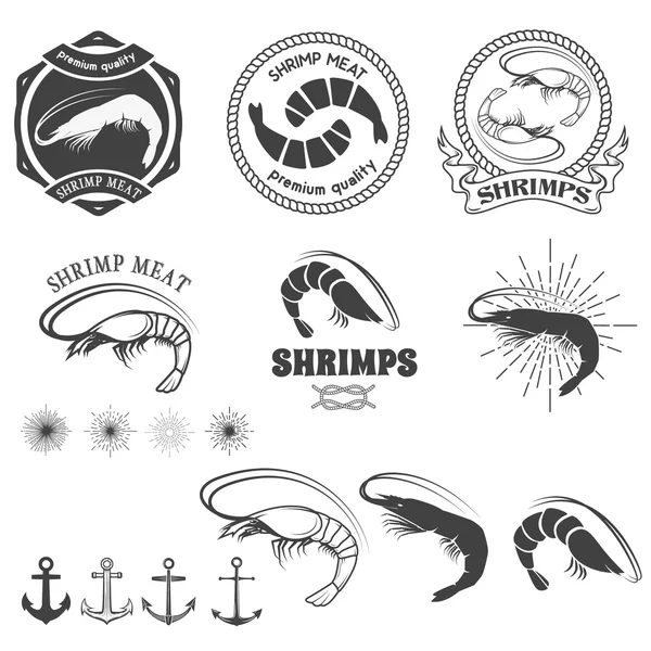 Shrimps meat. Shrimps in vector. — ストックベクタ