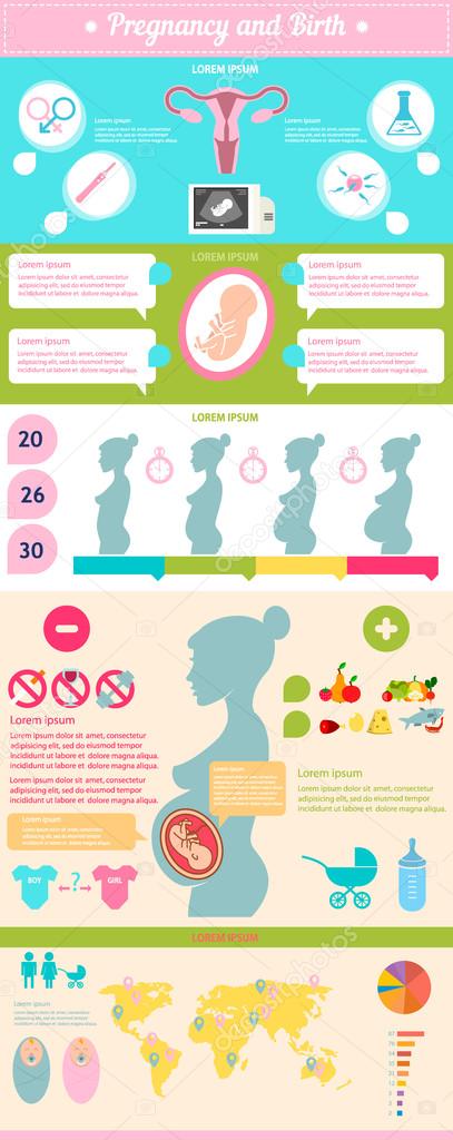 Pregnancy and birth infographic