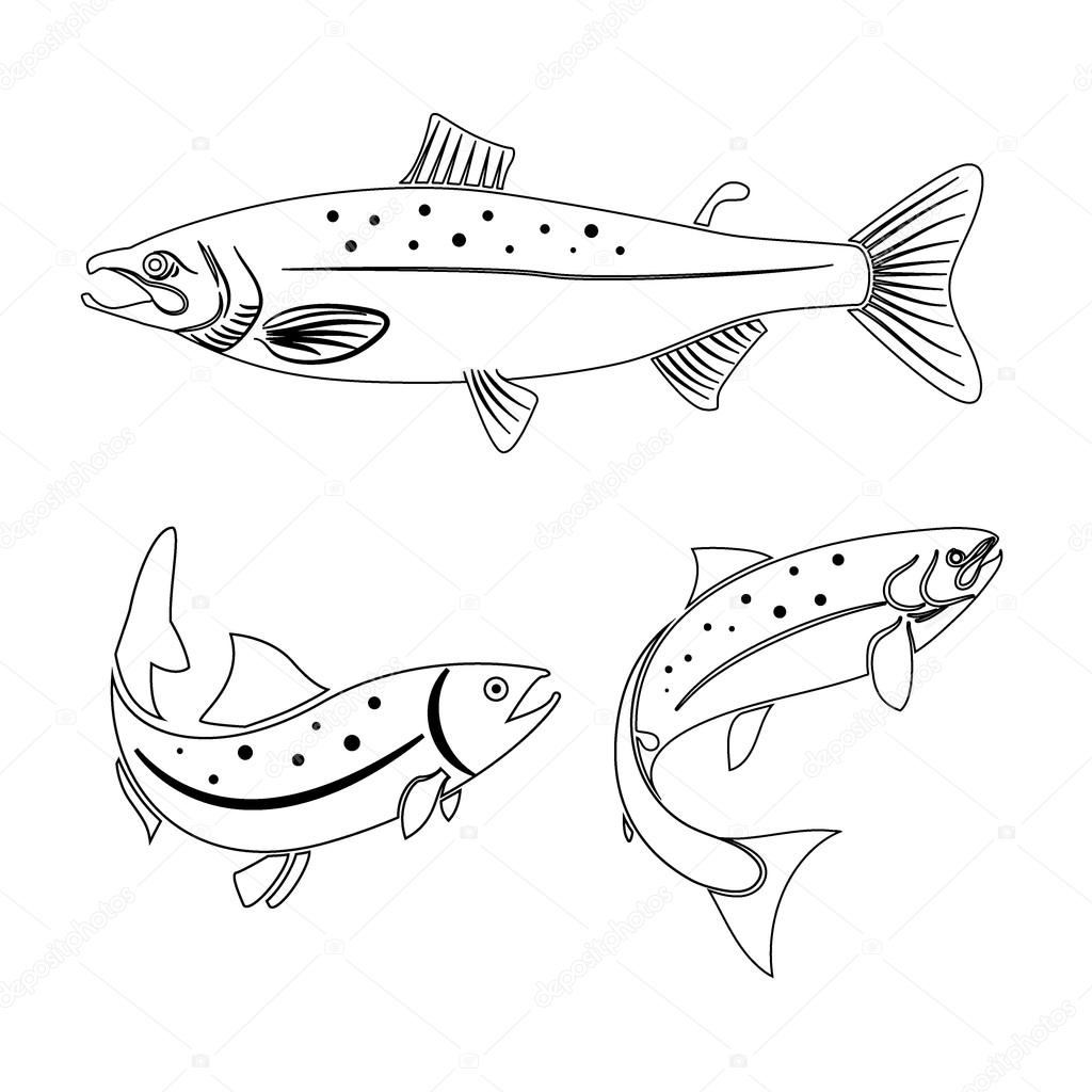 Set of salmon fish isolated on white background. Logo or label design element. Vector illustration.
