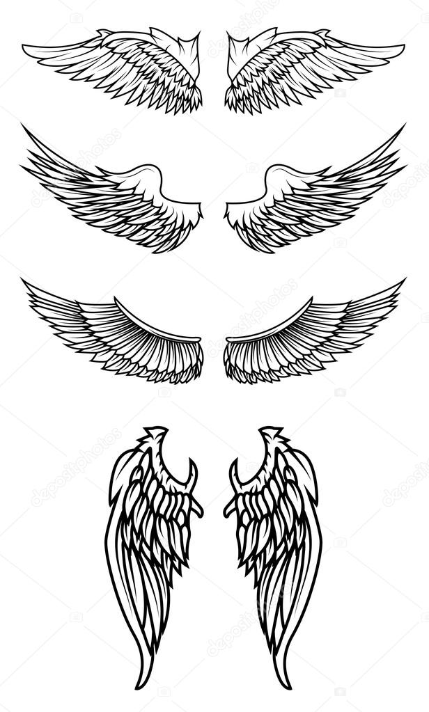 Set of the wings in vector.