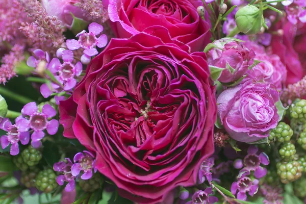 Arkaplan Çiçekleri