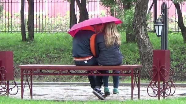 Menino e menina sob um guarda-chuva no parque.Dia de verão nublado. Caminhada lenta entre grandes árvores perto dos bancos. Sente-se no banco menino e menina.Paisagem da cidade. A estrada coberta de pedras. O homem vai . — Vídeo de Stock