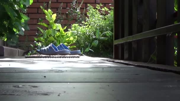 Schoenen in de hal. Zomer schoenen. Groene struiken en bloemen. — Stockvideo