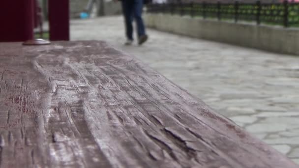 Joven caminando en el parque.Día nublado de verano.Lento paseo entre grandes árboles cerca de los bancos. Siéntate en el banco niño y niña. Paisaje de la ciudad. El camino cubierto de piedras.El hombre va . — Vídeo de stock