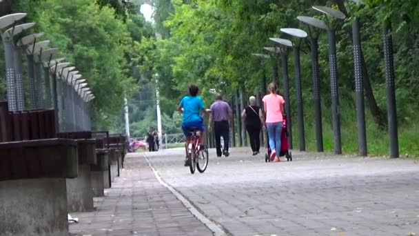 Agosto de 2015. Perm.Rossiya.Retired marido e mulher andando com netos ao ar livre no parque . — Vídeo de Stock