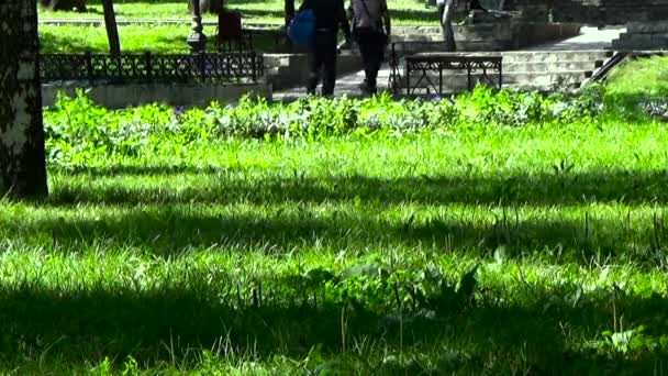 Νέοι άνδρες που περνούν μέσα από το πάρκο. — Αρχείο Βίντεο
