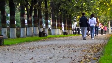 Perm.Rossiya.Komsomolsky Bulvarı. Ağustos 2015.