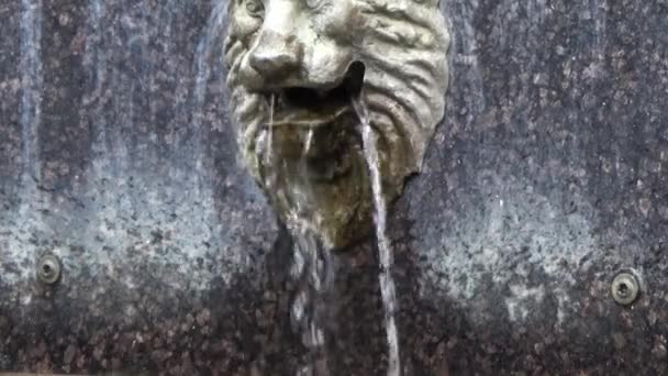 Fountain Lions. — Stock Video
