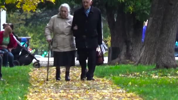 Mayores caminando en el parque . — Vídeos de Stock