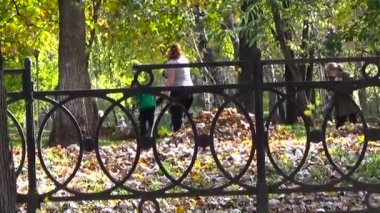 Bahçıvan kız kuru sonbahar Akça ağaç komisyon. Perm, Rusya, Eylül 2015