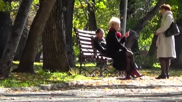 Eine Gruppe Frauen raucht im Park. Dauerwelle, Russland, September 2015 — Stockvideo