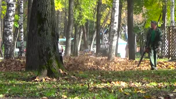 Trädgårdsmästare med en lövblåsare i parken. Perm, Ryssland, September 2015 — Stockvideo