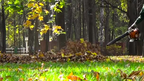 Tuinman met een bladblazer in het park — Stockvideo