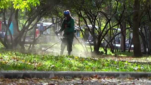 Gardener mows grass lawnmower. Perm. Russia. September 22, 2015 — Stock Video