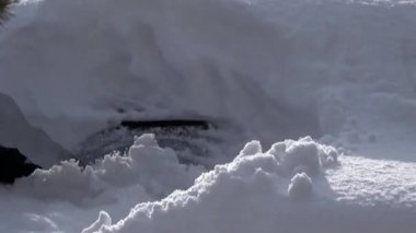 Araba kar temizleme.