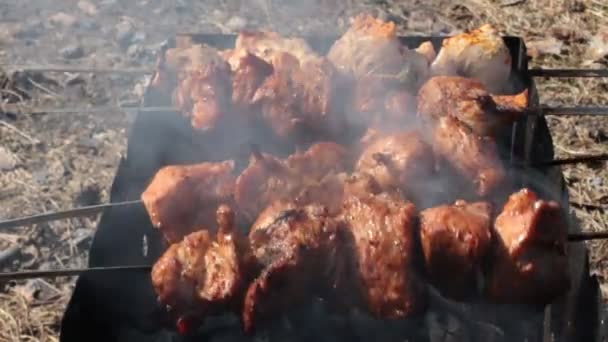 Meat Roasted on Skewers — Stock Video