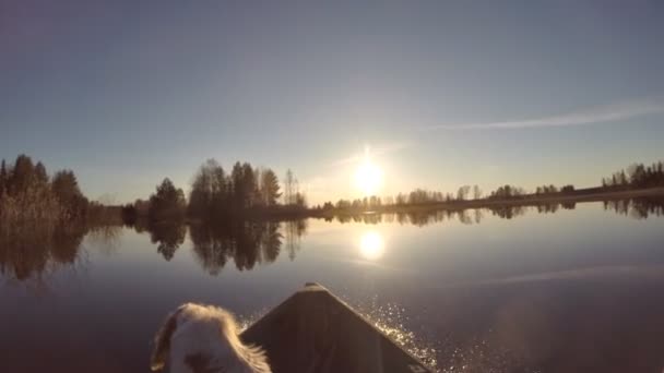 Дог плавает на озерной лодке — стоковое видео