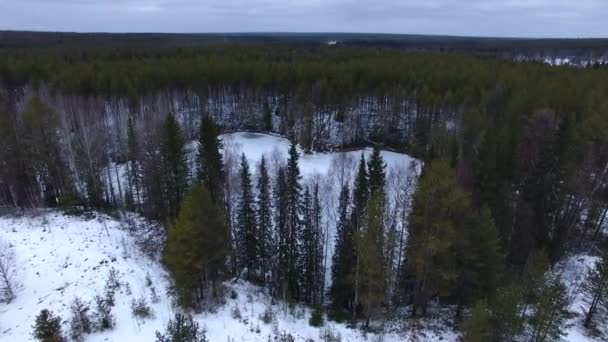Kamera Kışın Bir Orman Göl Üzerinde Uçar Gölde Buz Var — Stok video
