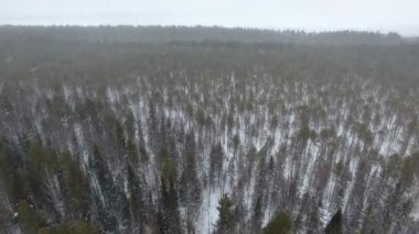 Video çekimi kışın kar yağışı sırasında bir dronun yardımıyla yukarıdan gerçekleştirilir. Aşağıda bir çam ormanı var. Kar taneleri drona doğru uçar