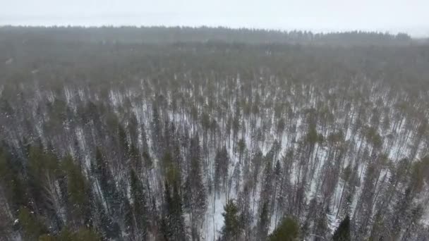 Rodaje Vídeo Lleva Cabo Desde Arriba Con Ayuda Dron Invierno Imágenes de stock libres de derechos