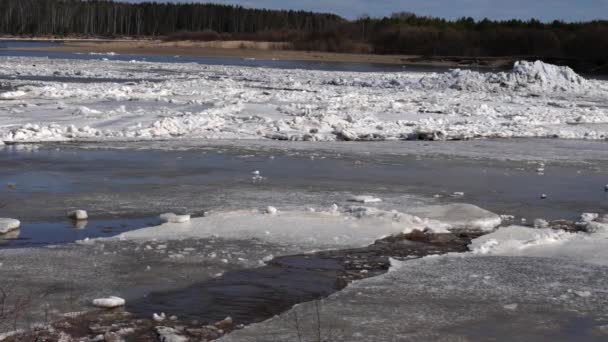 Ijs Drijft Rivier Tijdens Lenteoverstroming Het Ijs Kleine Stukjes Gebroken — Stockvideo