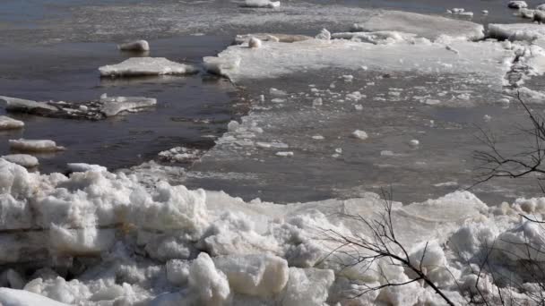 Led Plave Řece Během Jarní Povodně Led Roztříštěn Malé Kousky Royalty Free Stock Video