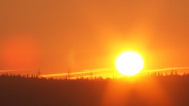 Ormanın üzerinde gün batımı