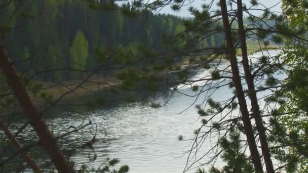 Човен плаває на річці ліс — стокове відео