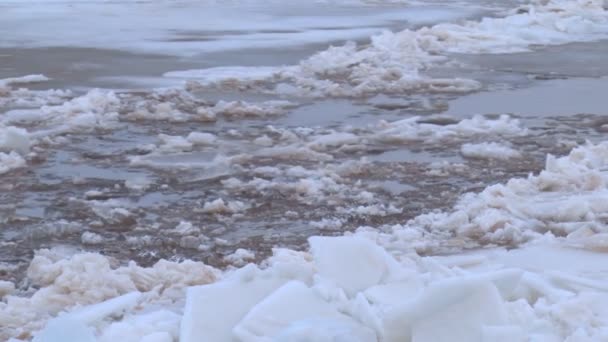 Hielo flotando en el río y hace ruido — Vídeo de stock