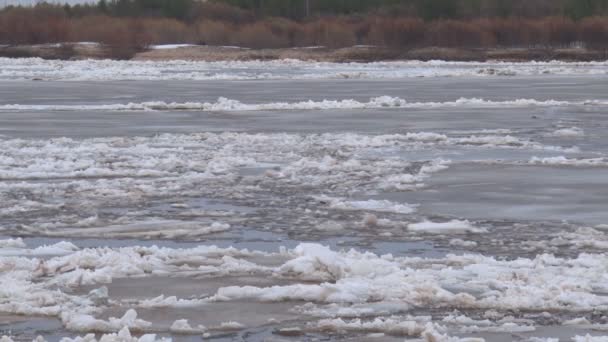 Лед плывет по реке — стоковое видео
