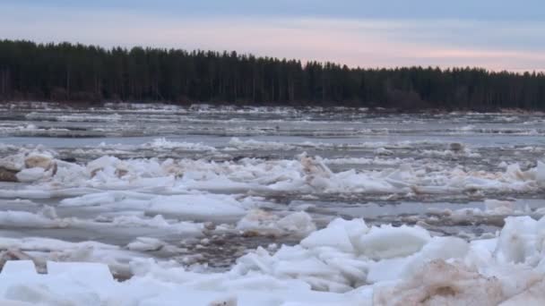 Ice drift on the river — Stock Video