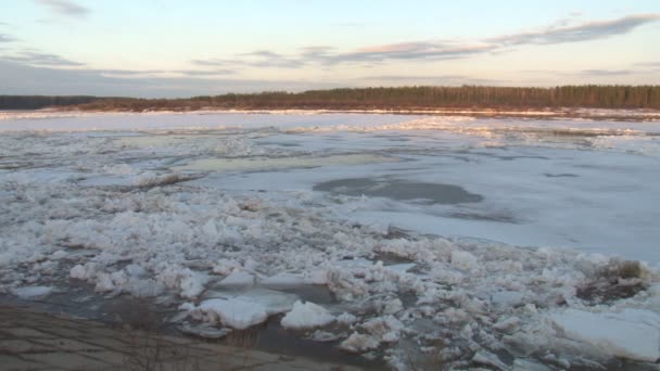 Lód jest uszkodzony i płynie nad rzeką na wiosnę — Wideo stockowe