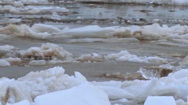 Romper el hielo y la deriva en el río — Vídeo de stock