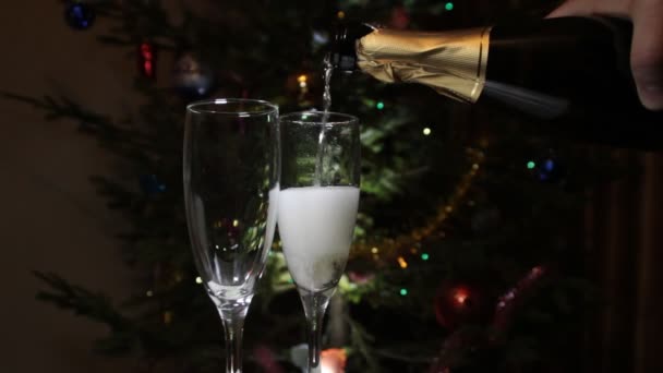Champagne hälls i ett glas — Stockvideo