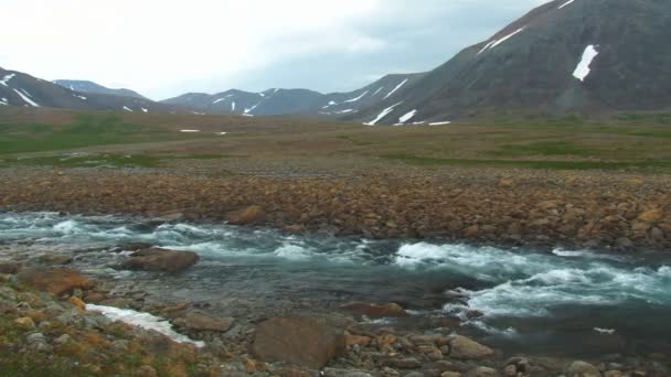 Fiume Rapid Mountain nel Nord — Video Stock