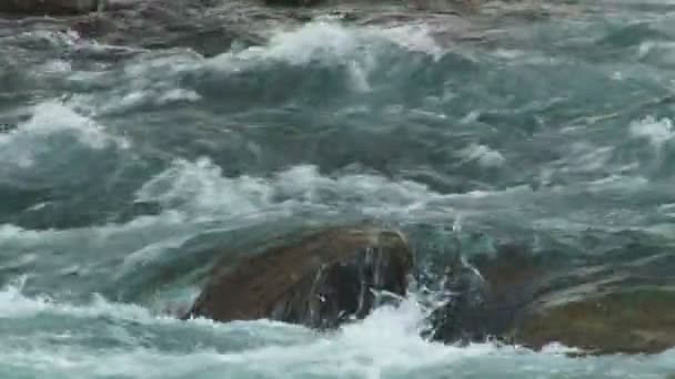 L'acqua pulita scorre veloce fiume di montagna — Video Stock