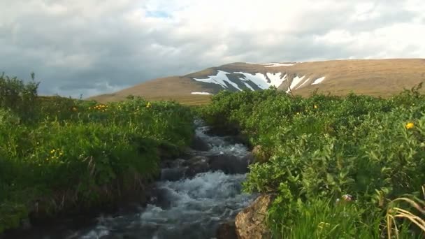 Швидкий потік тече з гори — стокове відео