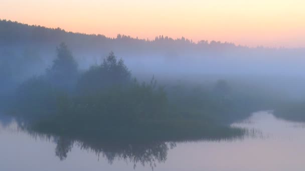 Mist over de rivier — Stockvideo