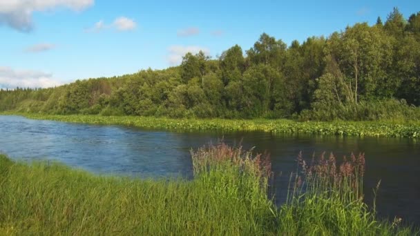 Motorbåt flottar på floden i Fores — Stockvideo